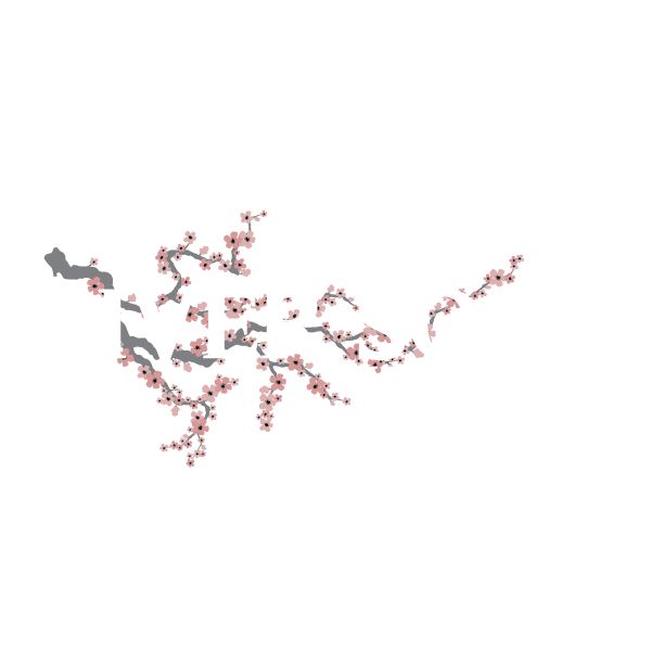 River Song Keys